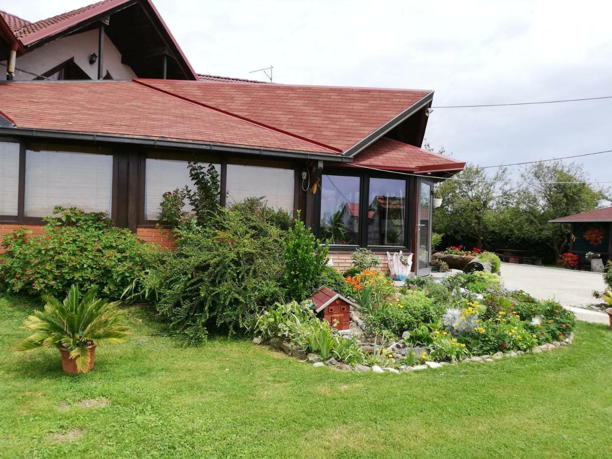 Hotel T.S.G. Simanovic Klinca Sela Exterior foto